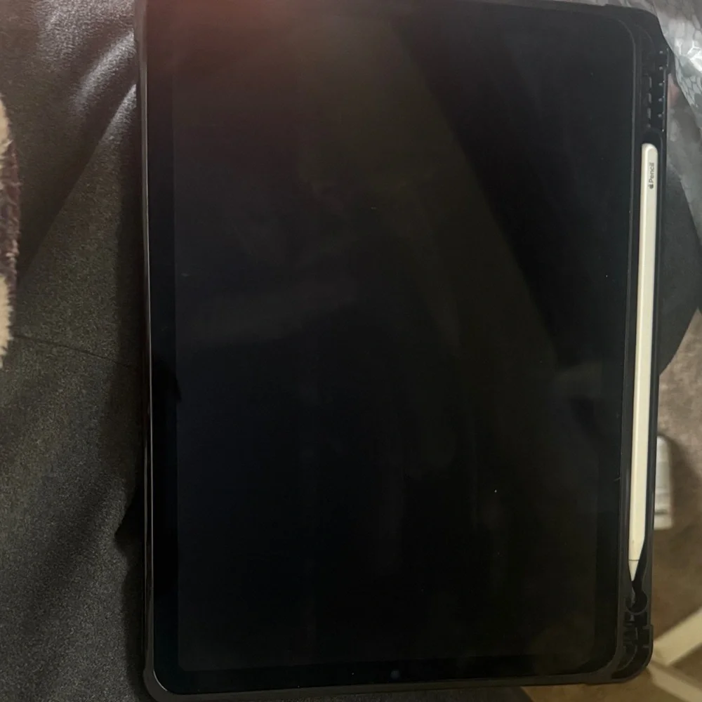 Apple iPad Air with Stylus